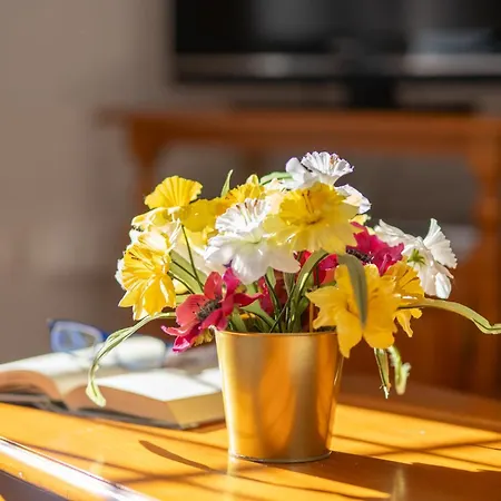 Bellavista By Casitas Select *